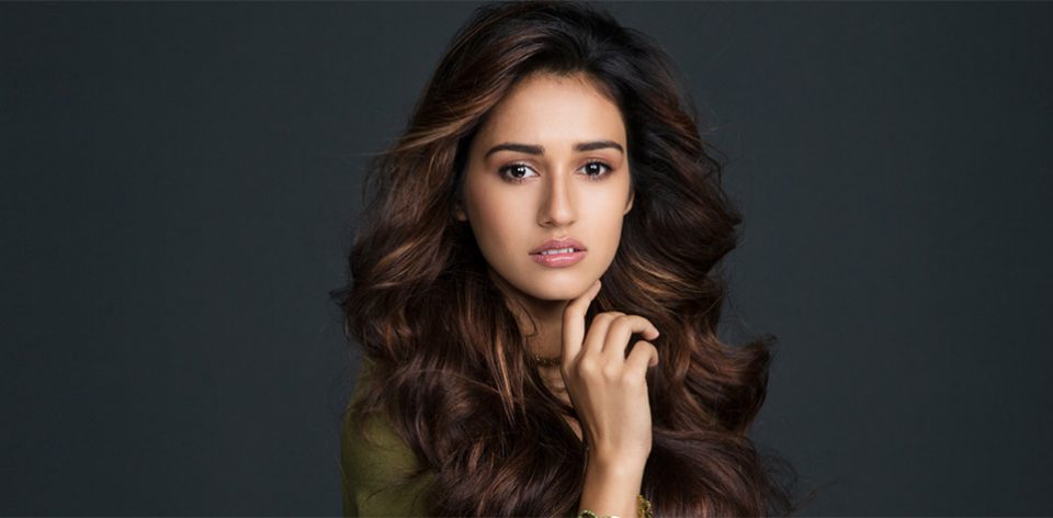Disha Patani may feature in Baaghi 2 | AVS TV Network - bollywood and  Hollywood latest News, Movies, Songs, Videos & Photos - All Rights Reserved