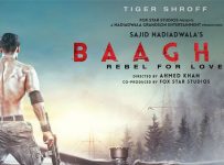 baaghi