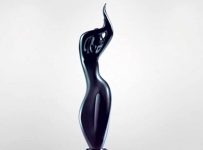 filmfare Winners copy