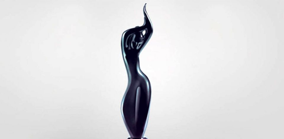 filmfare Winners copy