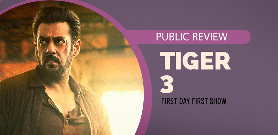 Tiger3_PublicReview_Icon